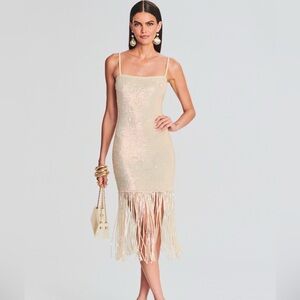 NWT Retrofete Nalu Sequin Crochet Dress XS/S